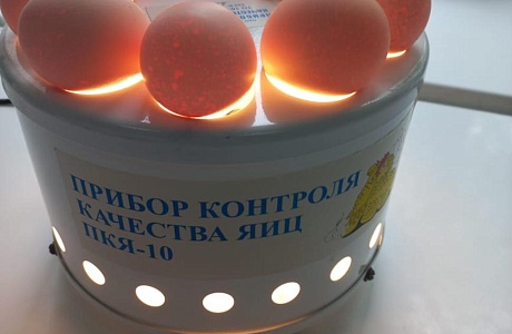 Лабораторный контроль инкубационных яиц — важный фактор в получении здорового и продуктивного молодняка